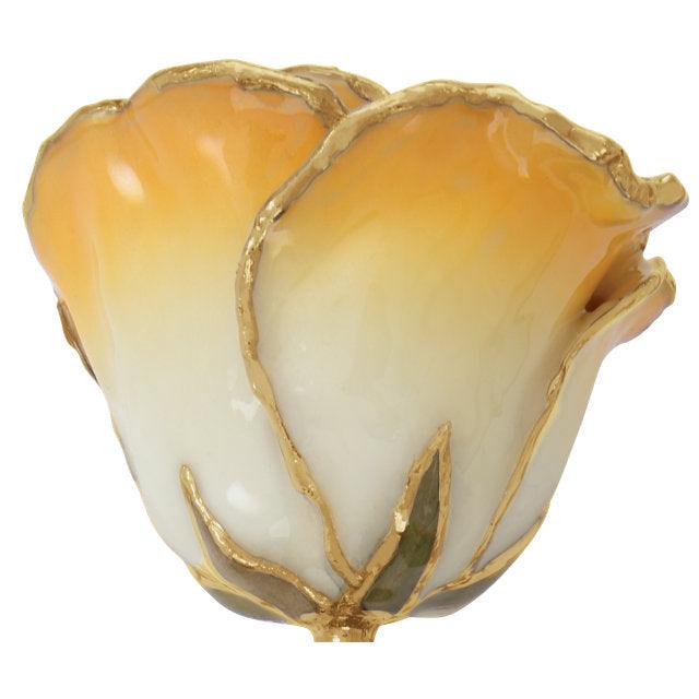 JDSP61-9064 LACQUERED CREAM YELLOW ROSE WITH GOLD TRIM - Johnny Dang & Co